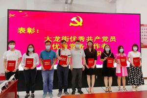 官网入口集团党支部荣获先进党组织称号、陈文舒党支部书记荣获优秀党