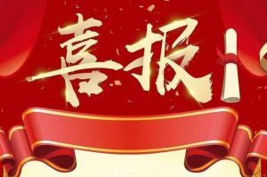 关于2022年度人力资源服务评选结果的通报，祝贺官网入口集团