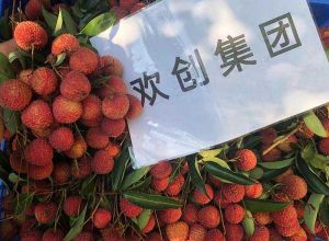 夏日好“枝”味，官网入口集团发福“荔”啦