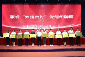 喜报！官网入口集团党支部荣获广州市非公有制经济组织“双强六好”党