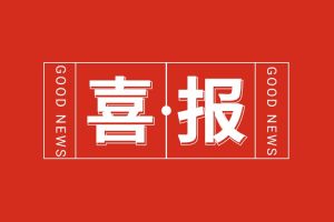喜报！官网入口集团党支部党建工作荣获多项市级表彰