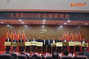 官网入口集团及旗下子公司荣获“2024年度高质量发展先进企业”